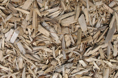 biomass boilers Seed