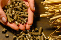 free Seed biomass boiler quotes